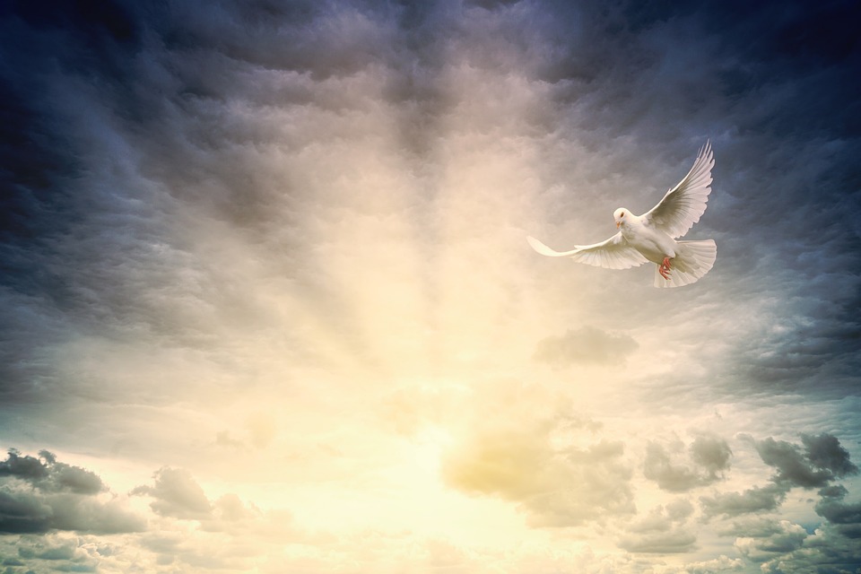 Answering the Call: Christian Charities Serving Their Communities